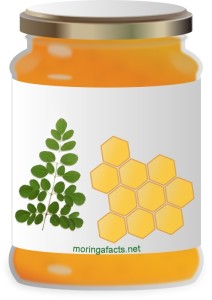 Moringa honey - Moringa facts