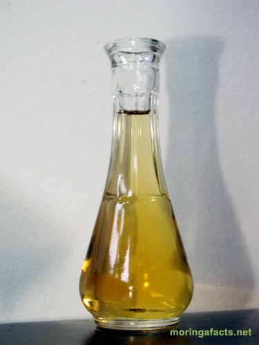 Moringa oleifera - Moringa Oil