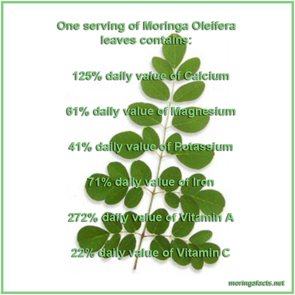 What a Serving of Moringa Leaves Contains - Moringa facts