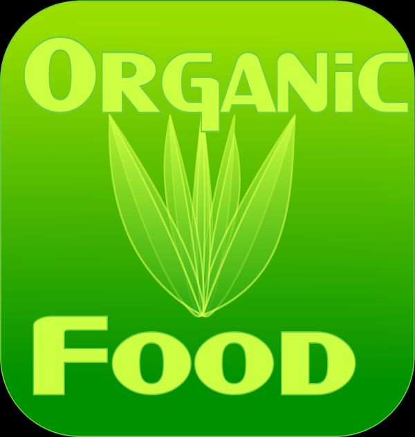 Moringa organic - Moringa facts