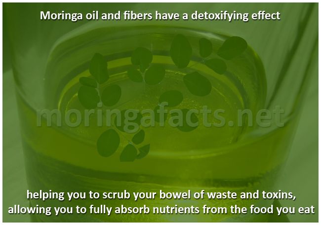 Moringa Oil And Fibers Have a Detoxifying Effect - Moringa facts