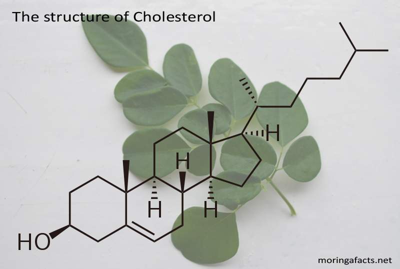 The structure of Cholesterol - Moringa facts